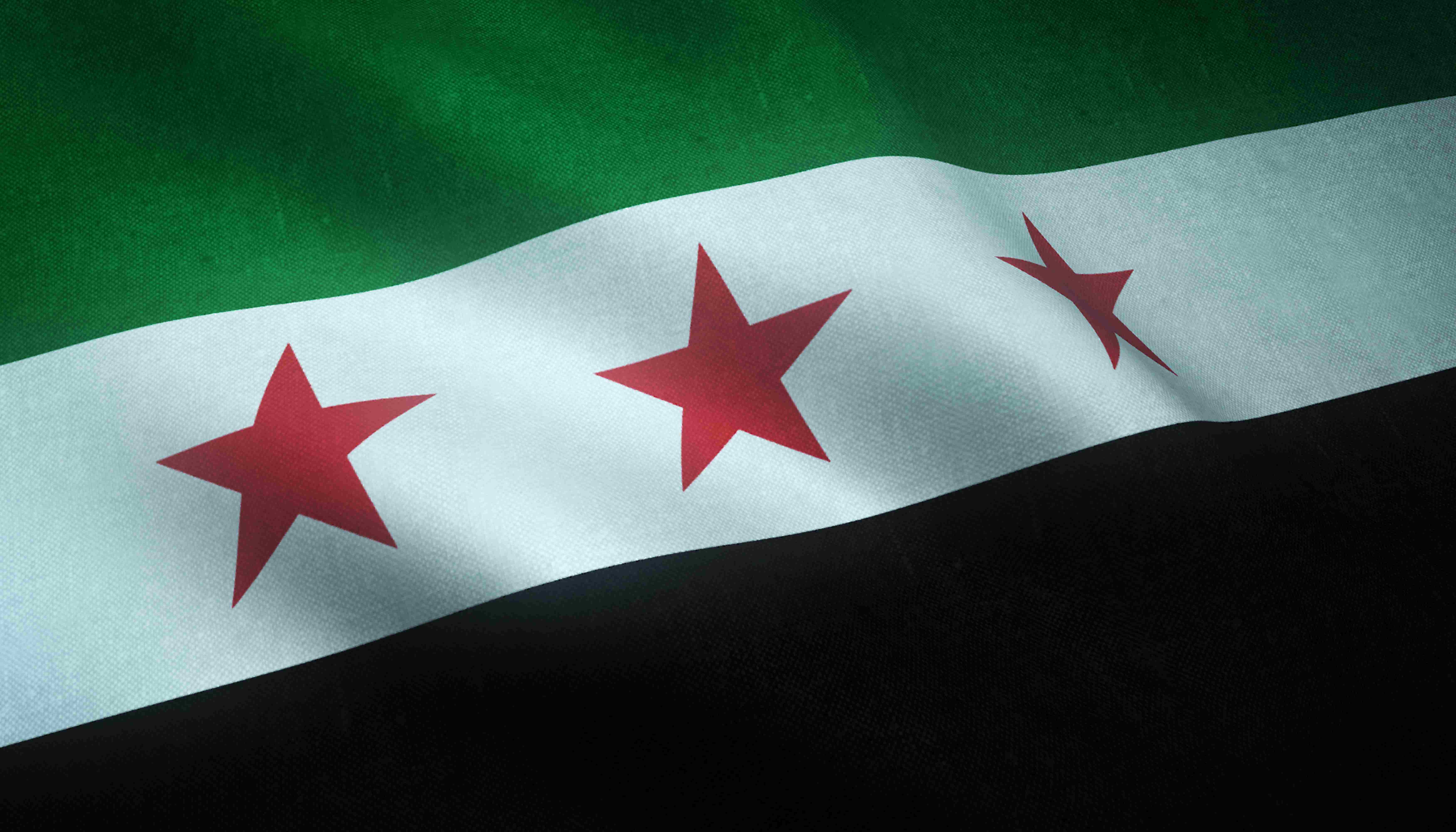 syria flag